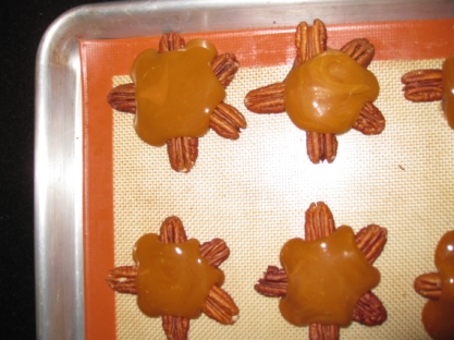 Patty's Chocolate Turles 3